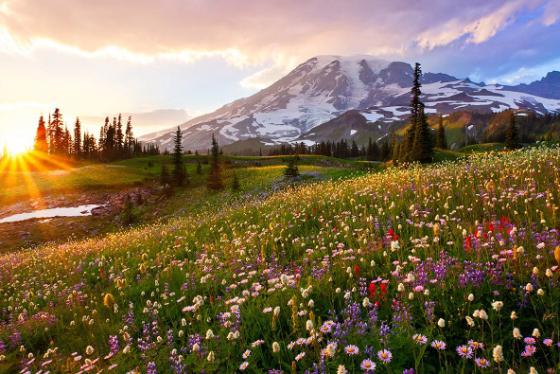 Cảnh đẹp bạn chỉ có thể tìm thấy ở 8 công viên đẹp nhất Washington