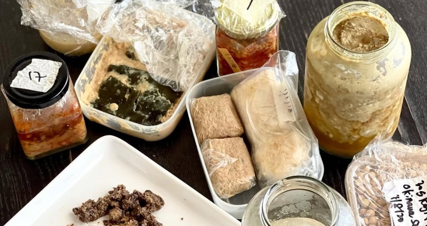 Đậu phụ lên men chiên giòn là món ngon cực cuốn trong cẩm nang du lịch Thiên Tân Trung Quốc