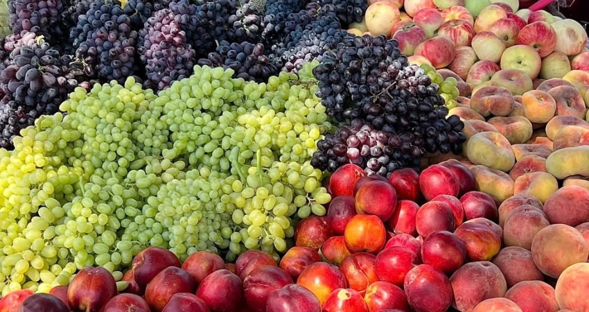 Tân Cương nổi tiếng với hoa quả mọng nước và ngọt ngào