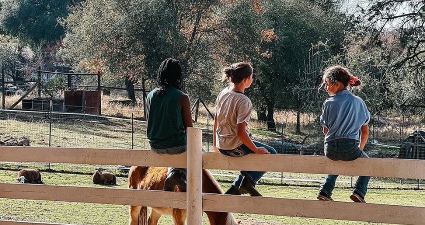 Ninh Hạ mang một vẻ đẹp hoang sơ đến nao lòng