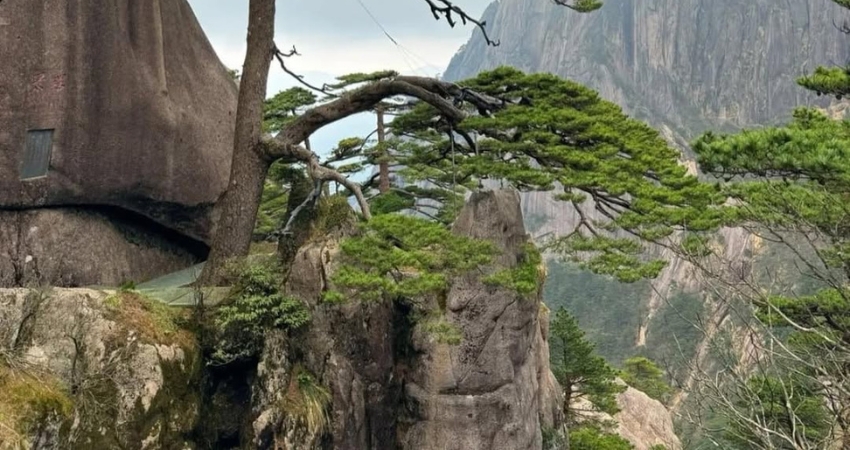 Cẩm nang du lịch An Huy nhắc bạn ghé thăm dãy núi Hoàng Sơn