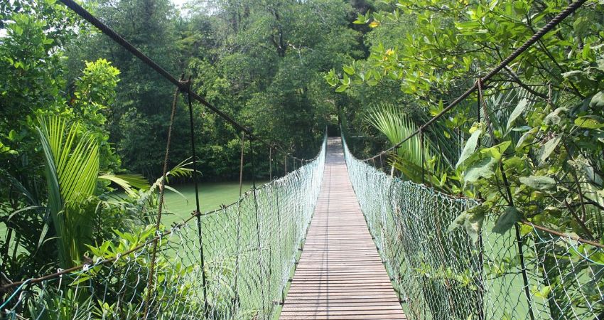 Công viên Quốc gia Similajau - cẩm nang du lịch Bintulu Malaysia 