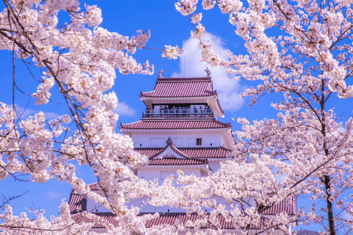 Cẩm nang du lịch Kumamoto - Tham quan lâu đài Kumamoto