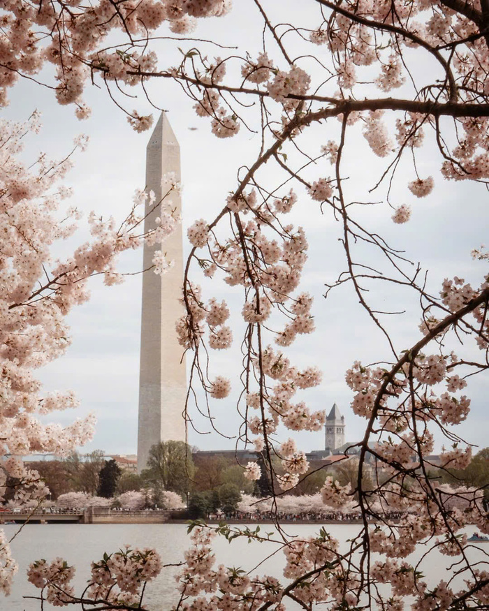 Chiêm ngưỡng đài tưởng niệm Washington Mỹ 
