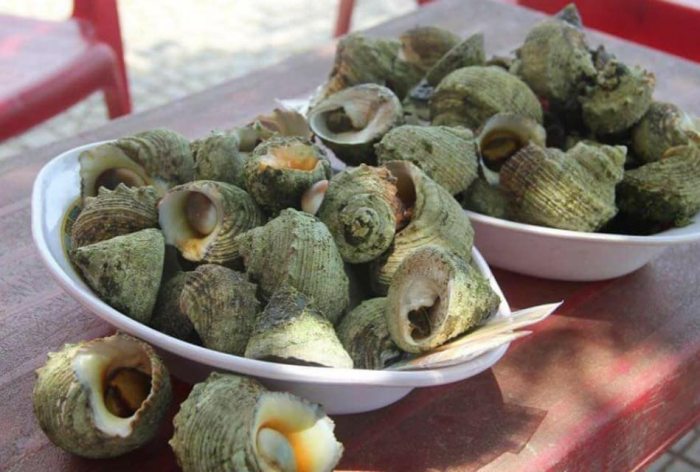 Du lịch đảo Cồn Cỏ Quảng Trị ốc vú nàng