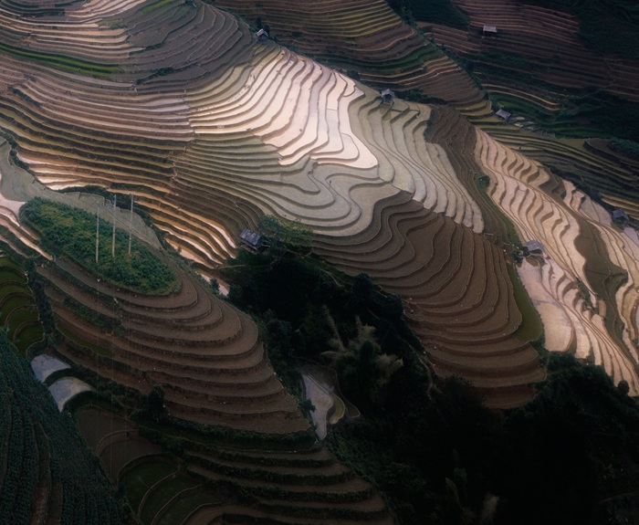 Toàn cảnh ruộng bậc thang như những dải lụa óng ánh tại Mù Cang Chải.