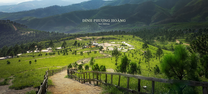 Lối đi uốn lượn tại Đỉnh Phượng Hoàng mở ra không gian đồi cỏ xanh rộng lớn. 