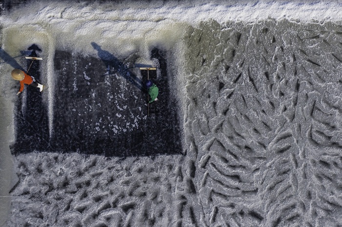 Diêm dân tại Lý Nhơn cào muối, tạo thành những luống dài trên ruộng. 