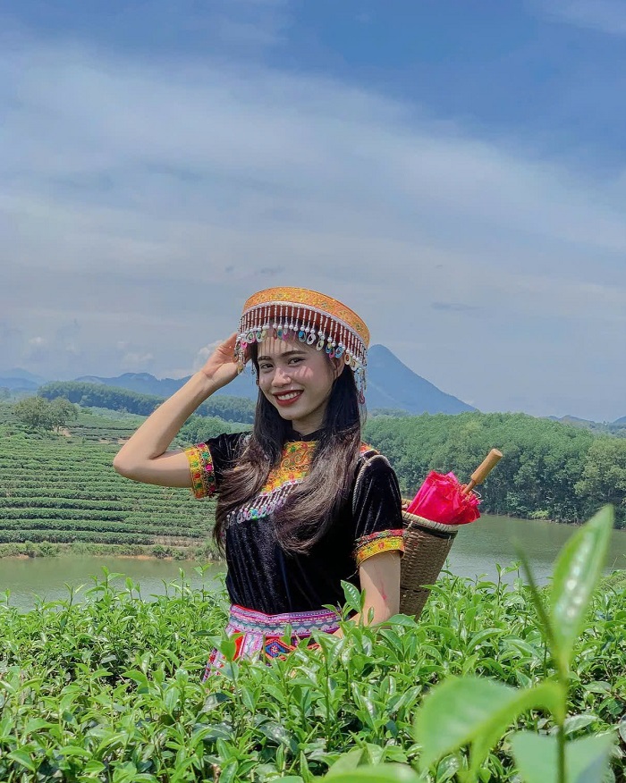 Đảo chè Thanh Chương đẹp không kém biển Cửa Lò Nghệ An