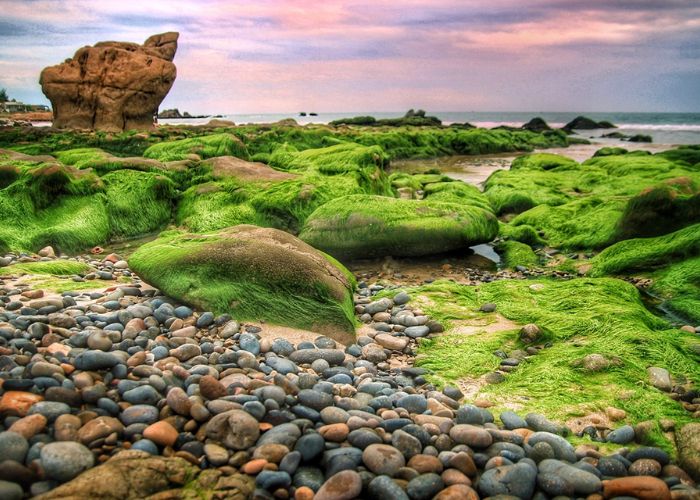 Biển Cổ Thạch Bình Thuận