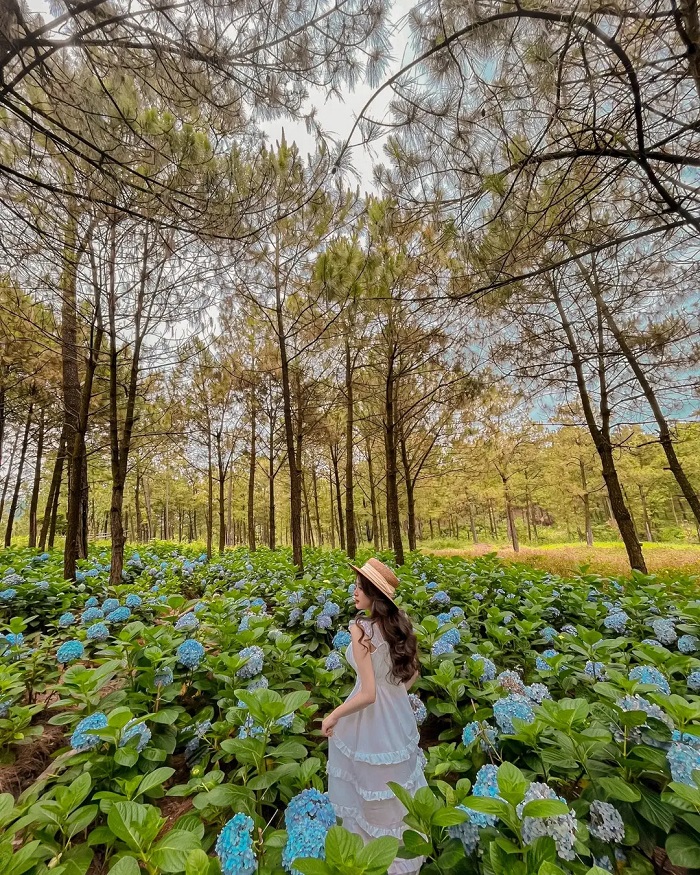 Hồ Yên Trung Quảng Ninh là điểm đến hấp dẫn mà bạn nên ghé thăm