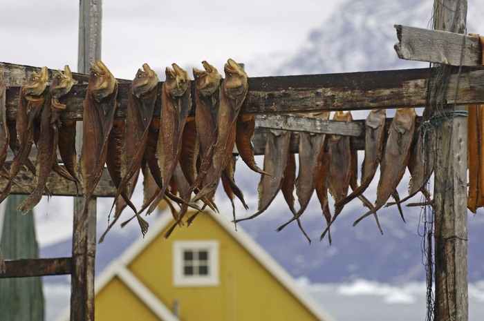 kinh nghiệm du lịch Greenland - Đồ ăn ở Greenland không hợp vị tất cả mọi người