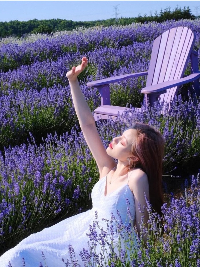 Kinh nghiệm du lịch Provence Pháp - Thời điểm lý tưởng là mùa xuân và mùa hè