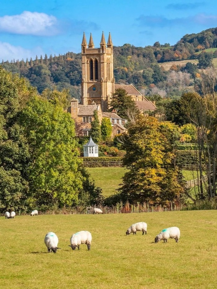 Bạn nên giữ khoảng cách với gia súc ở làng Cotswolds Anh