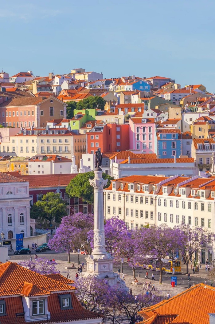Những địa điểm ngắm mùa phượng tím ở Lisbon Bồ Đào Nha đẹp