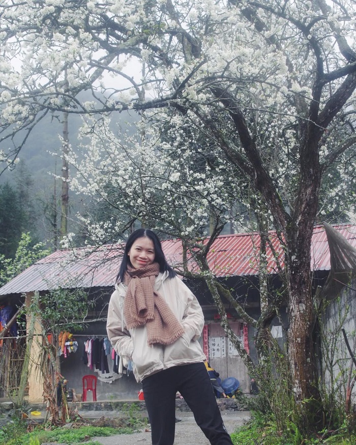 Phố Cáo Đồng Văn Hà Giang ngập sắc hoa vào mùa xuân