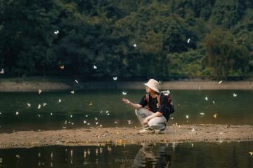 Vườn Quốc gia Cúc Phương:  Khu rừng “thức giấc” trong những cánh bay