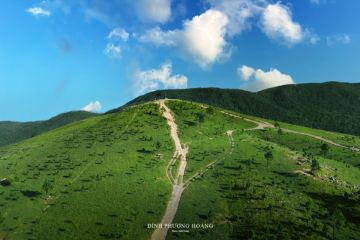 Đắm chìm với những triền cỏ xanh mướt ở đỉnh Phượng Hoàng