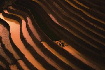 Mùa nước đổ Mù Cang Chải: Ngắm nhìn những ‘bậc thang mây trời’ cực lung linh