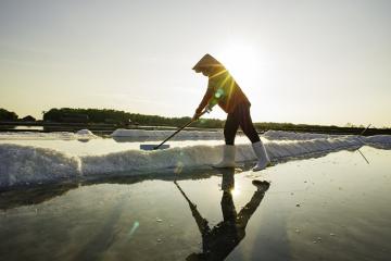 Ghé thăm cánh đồng muối Lý Nhơn cực đẹp tại 'ốc đảo' Cần Giờ trong buổi chiều tà