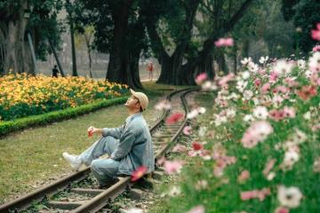 Công viên Thống Nhất Hà Nội: Điểm đến miễn phí xanh – thơ – thú vị ở trung tâm Thủ đô