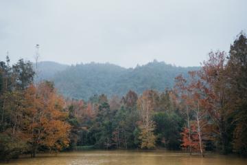 Khe Sanh - Quảng Trị mùa lá đỏ: Bức tranh trời Âu giữa Việt Nam