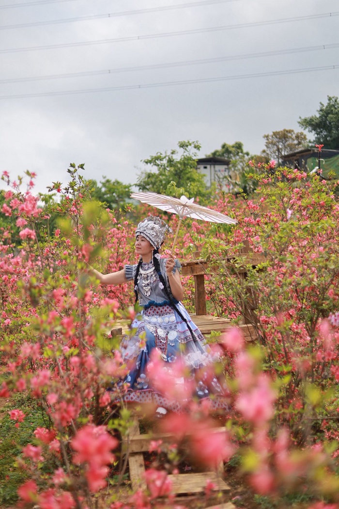 Bạn có thể thuê trang phục dân tộc để chụp ảnh tại vườn hoa đỗ quyên Mộc Châu 