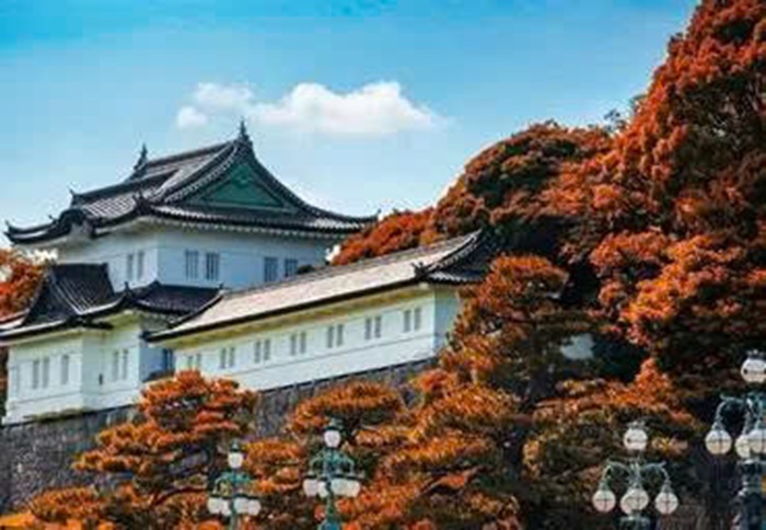 Một trong những công trình đặc biệt tại Tokyo. Ảnh: Sưu tầm.