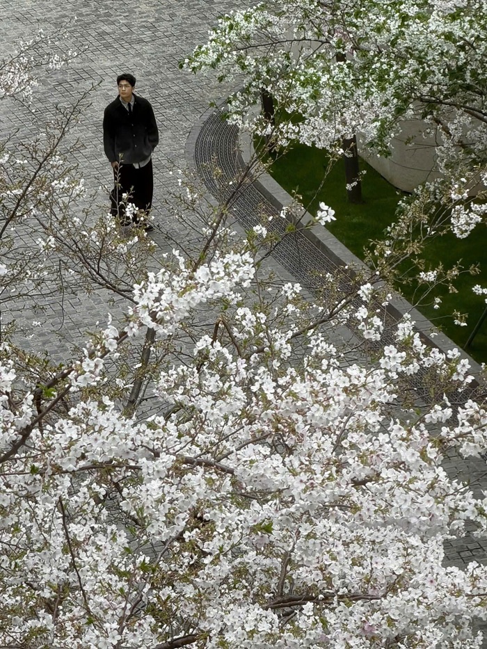 Trần Quốc Anh tranh thủ ghi lại những khoảnh khắc đáng nhớ cùng mùa hoa nở rộ tại Trung Quốc. Ảnh: FBNV.