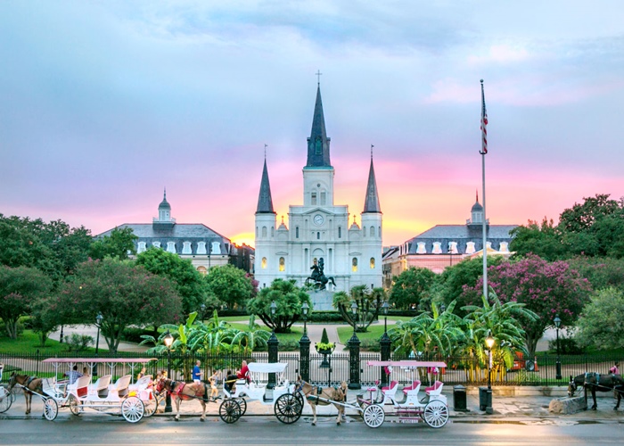 Lá bài tarot cũng không thể báo trước những nghệ sĩ đường phố New Orleans nước Mỹ sẽ đi đâu về đâu
