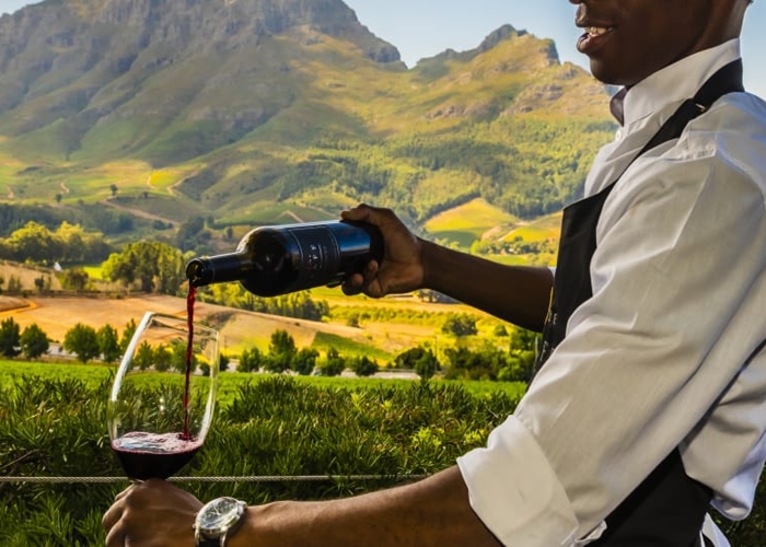 Gợi ý hành trình food tour Cape Town - thiên đường rượu vang Nam Phi