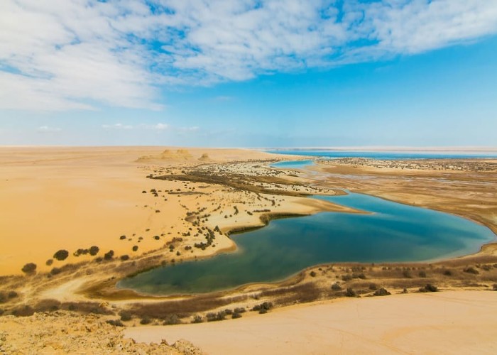 ốc đảo Fayoum Oasis