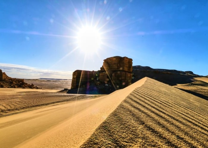 ốc đảo Fayoum Oasis