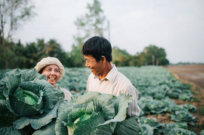 vườn hoa cẩm tú cầu Phia Đén