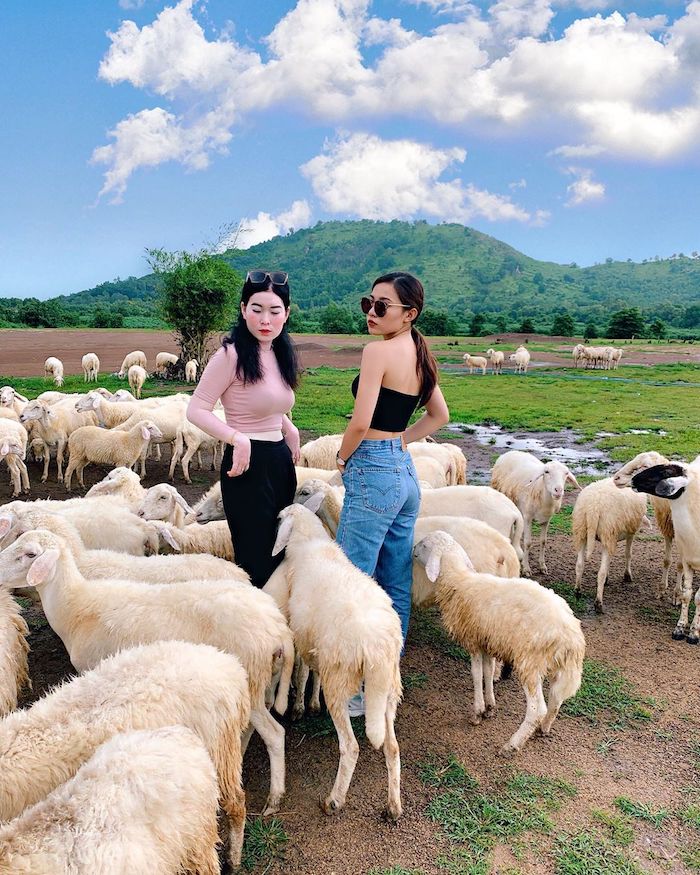 ecological sheep hill with galangal;' You can choose different means of transport to be able to move to Bung Rieng sheep hill