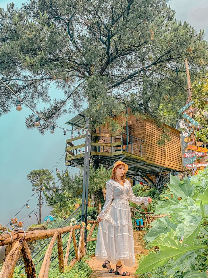 ‘Bung lụa’ tại các điểm check in Tam Đảo – Nàng thơ giữa núi rừng Vĩnh Phúc