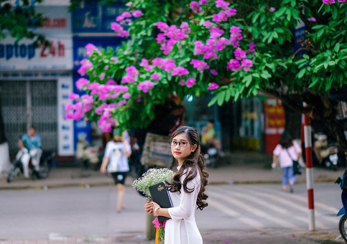 Đừng vội ghét cái nắng tháng 5, bởi đây là thời điểm của mùa hoa bằng lăng tím Hà Nội đẹp tới nao lòng