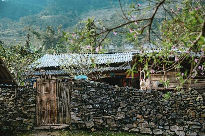 Thiên Hương là một trong những bản làng Hà Giang cổ lâu đời nhất hay còn được gọi với cái tên Mã Pắng