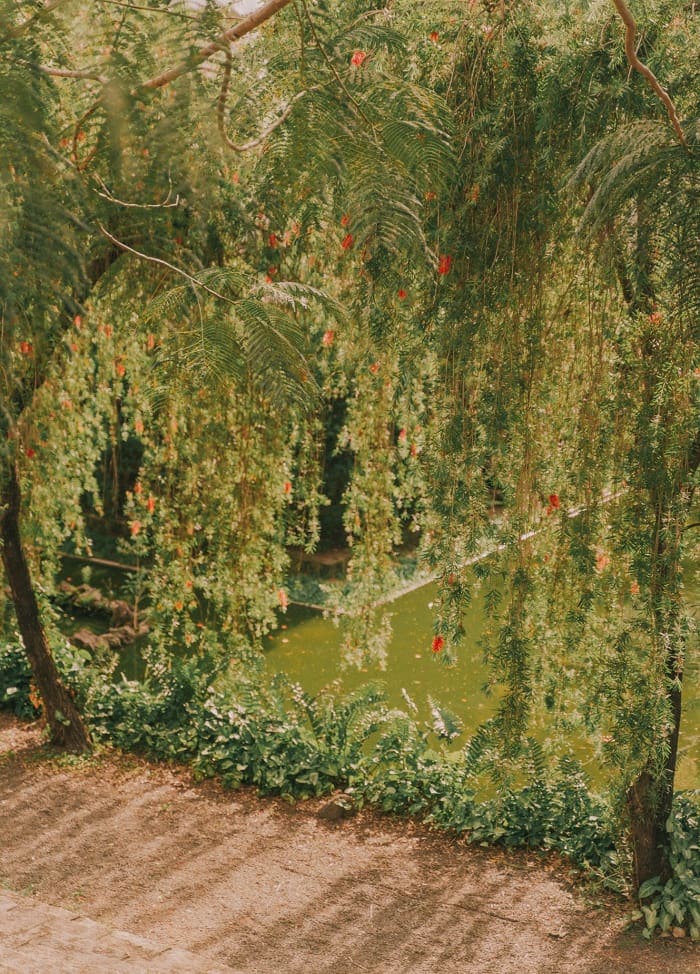 Du lịch chùa Minh Thành - ngôi chùa đậm kiến trúc Nhật Bản độc đáo giữa phố núi Gia Lai