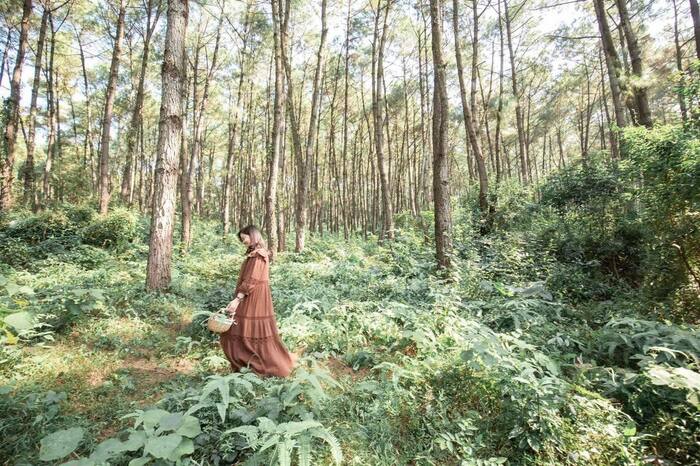 Hồ Đá Lải Ninh Bình nằm cách trung tâm thành phố 30km