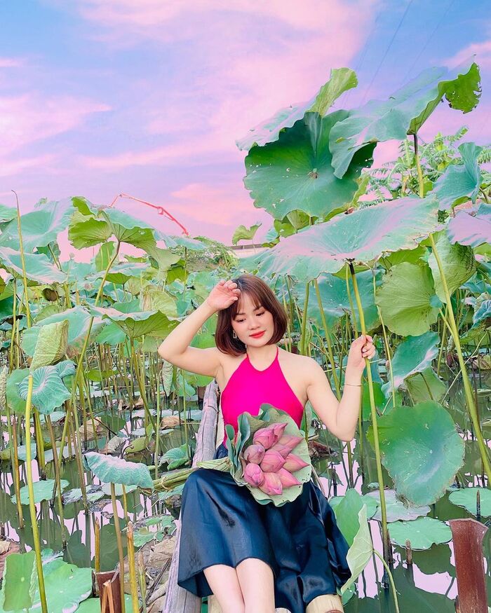 Thời điểm thích hợp nhất để đến mùa sen nở ở Hà Nội là vào buổi sáng Thời điểm thích hợp nhất để đến mùa sen nở ở Hà Nội là vào buổi sáng