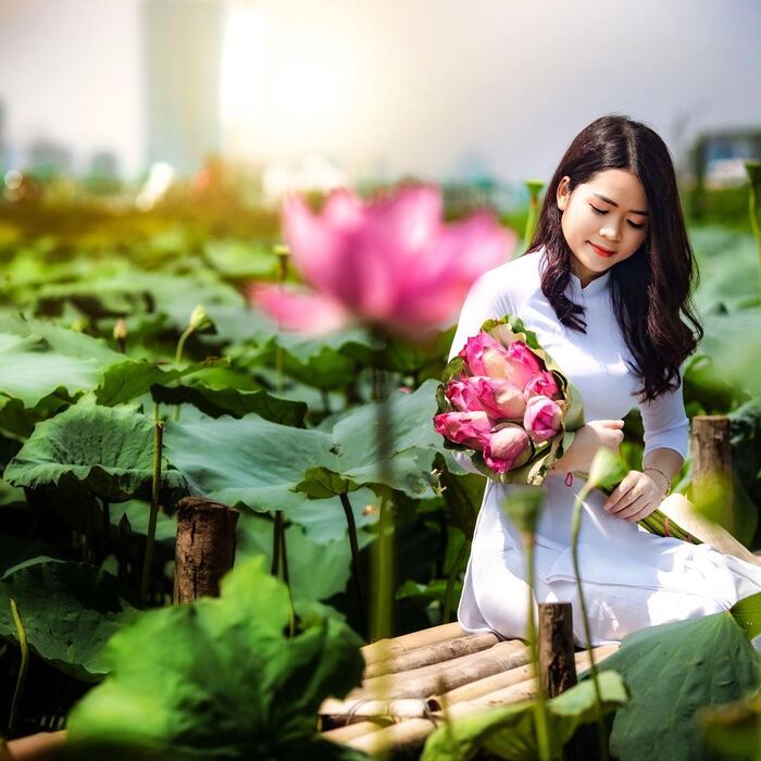 Kết thúc đợt đầu tiên của mùa hè nắng nóng, vào những ngày này, tiết trời tại Hà Nội lại bỗng trở nên siêu dễ chịu và mùa sen nở ở Hà Nội sắp đến. Kết thúc đợt đầu tiên của mùa hè nắng nóng, vào những ngày này, tiết trời tại Hà Nội lại bỗng trở nên siêu dễ chịu và mùa sen nở ở Hà Nội sắp đến.