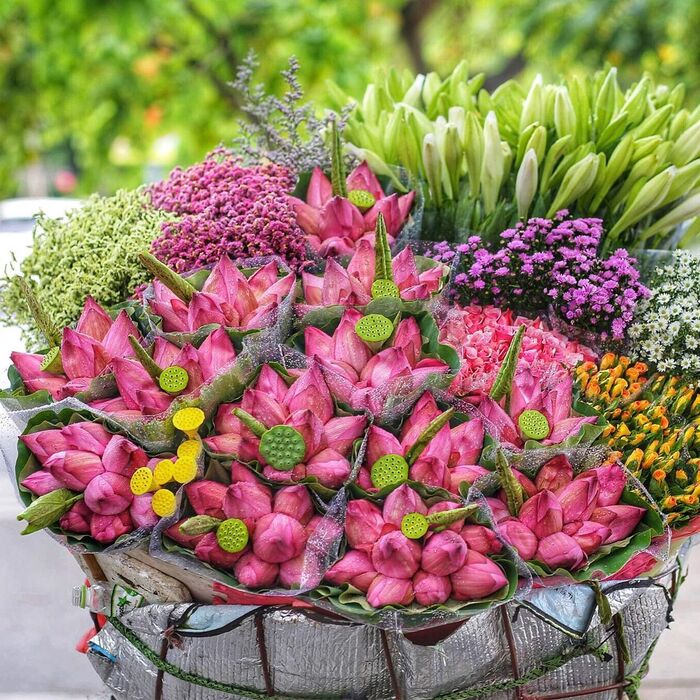 Mùa sen nở ở Hà Nội có lẽ là khoảnh khắc đẹp nhất tại miền Bắc mà bạn không nên bỏ lỡ Mùa sen nở ở Hà Nội có lẽ là khoảnh khắc đẹp nhất tại miền Bắc mà bạn không nên bỏ lỡ