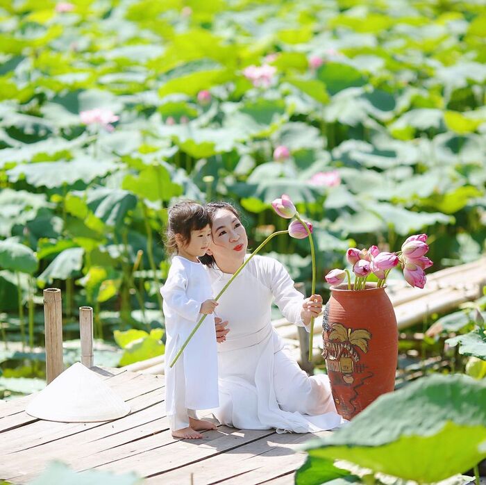 mỗi khi mùa sen nở ở Hà Nội đến, mọi người thường lui đến để được thưởng thức Quốc hoa. mỗi khi mùa sen nở ở Hà Nội đến, mọi người thường lui đến để được thưởng thức Quốc hoa.