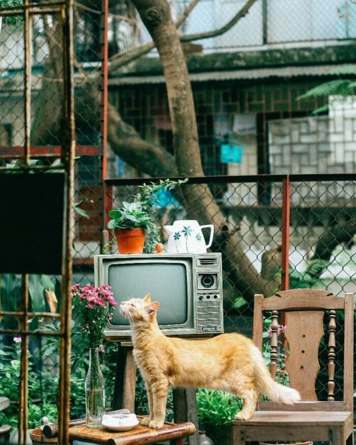 Lên ảnh không thua gì họa báo tại các tọa độ check-in cực nghệ ở Hà Nội