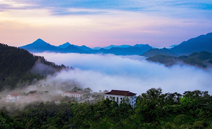 Vườn quốc gia Xuân Sơn Phú Thọ chính là nơi sinh sống của gần 1.220 loài thực vật