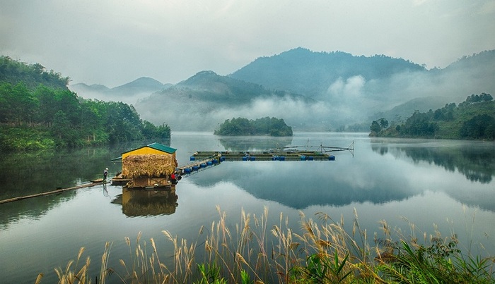 Không gian vườn quốc gia Xuân Sơn Phú Thọ vô cùng mát mẻ và đẹp mắt.