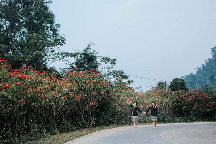 Ngoài việc biết thêm về lịch sử của vườn quốc gia Xuân Sơn Phú Thọ, bạn sẽ có thêm cơ hội tìm hiểu về đời sống văn hoá, một số phong tục của người dân bản 