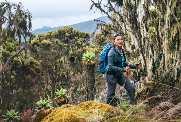 Không ai biết ý nghĩa thực sự của tên núi lửa Kilimanjaro