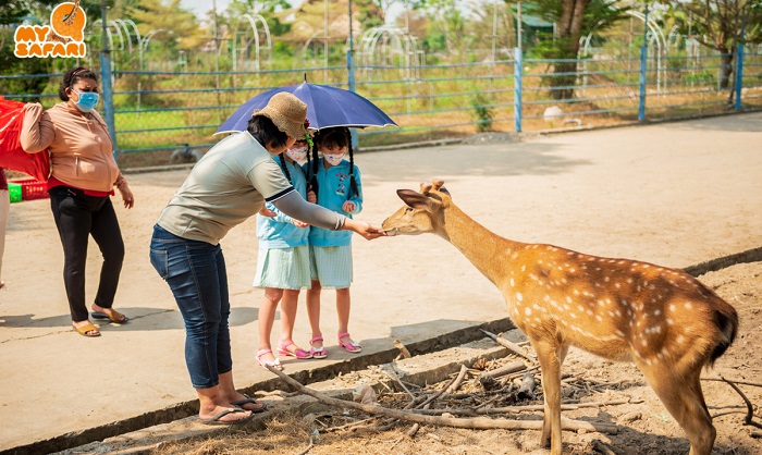 khu du lịch Mỹ Quỳnh